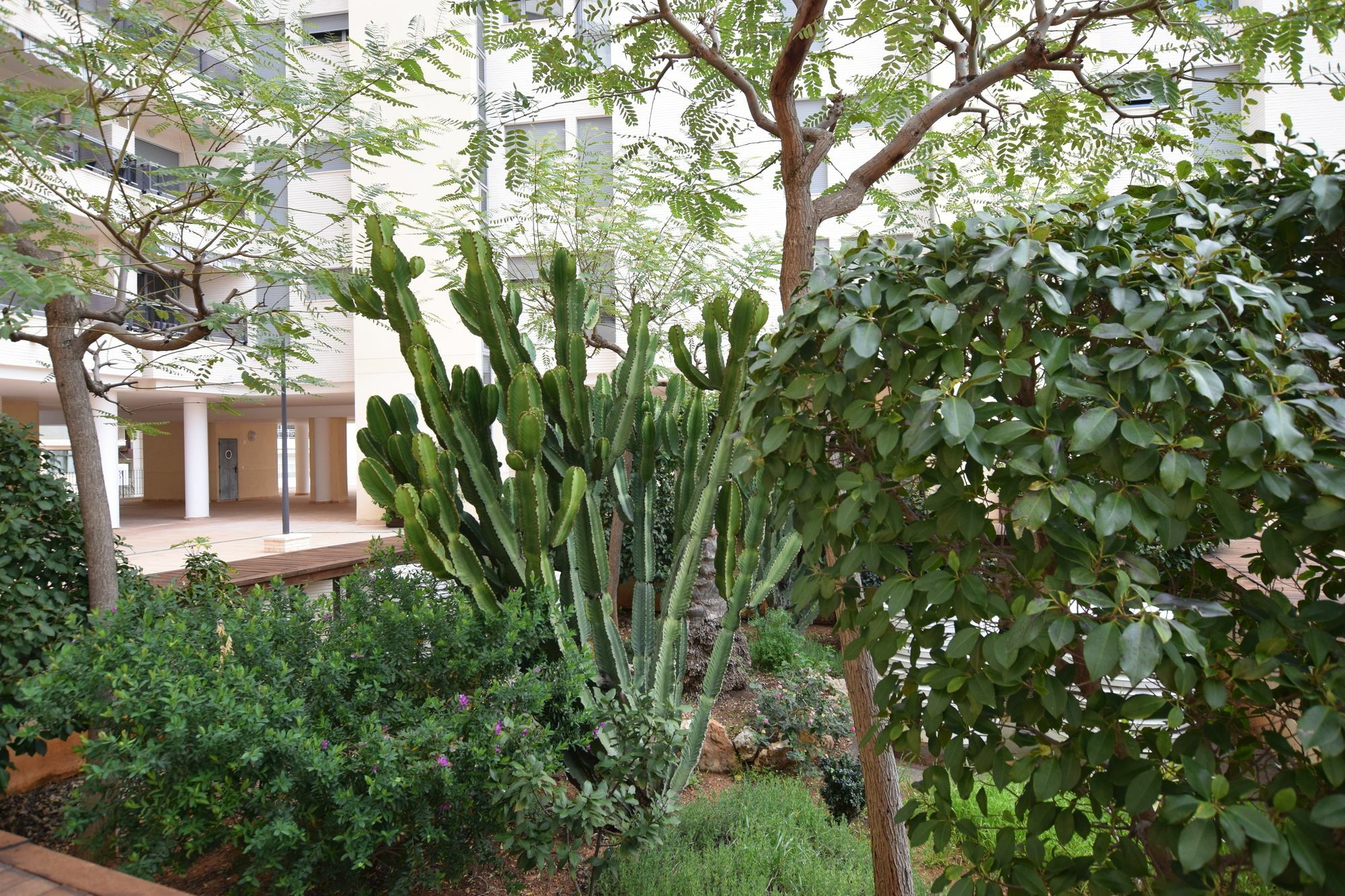 Plaza Mayor 2 Bedroom Apartment Calpe Zewnętrze zdjęcie